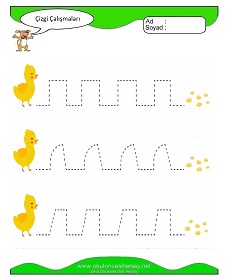 Çizgi Çalışma Sayfaları